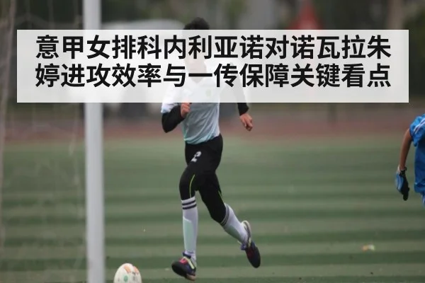 意甲女排科内利亚诺对诺瓦拉朱婷进攻效率与一传保障关键看点